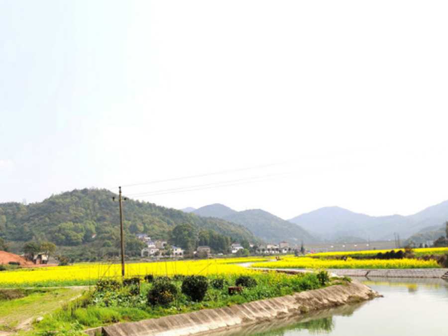 长沙市望城区茶亭镇等7个乡镇高标准农田建设项目2.jpg